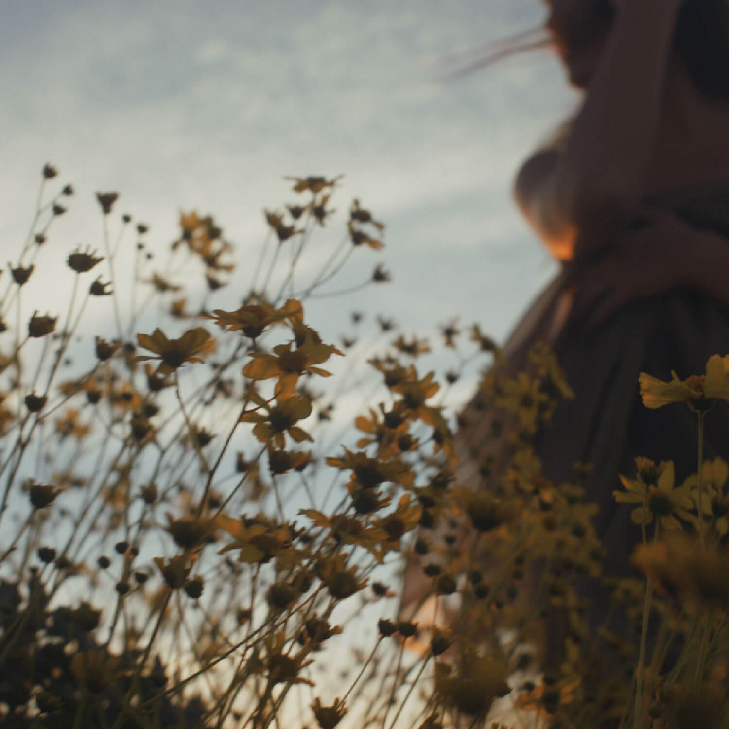 Proverbs 31: Not Meant to Be Perfect