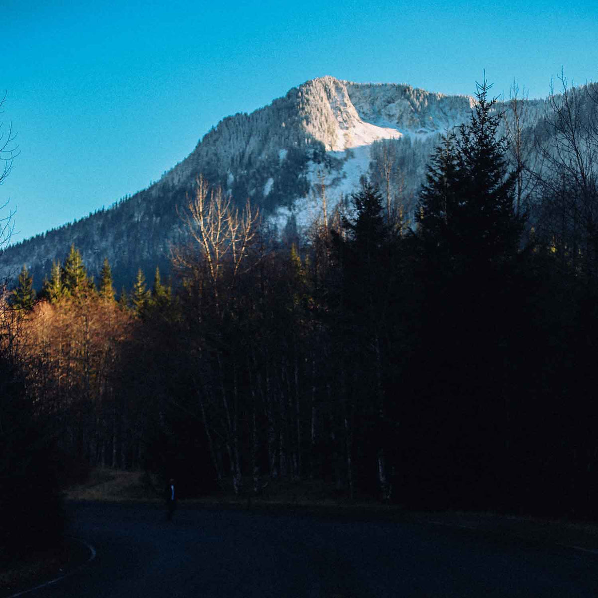 Jeremiah 29:11: Hope for the Long Road Home