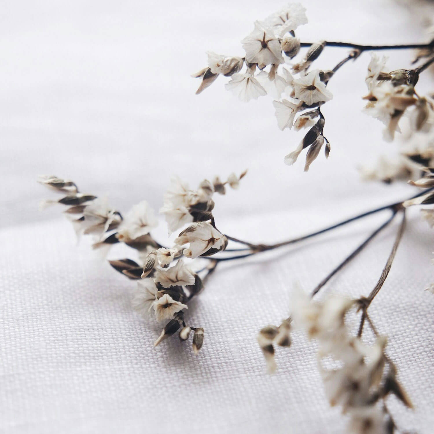 Our Favorite Bible Verses For Wedding Anniversaries