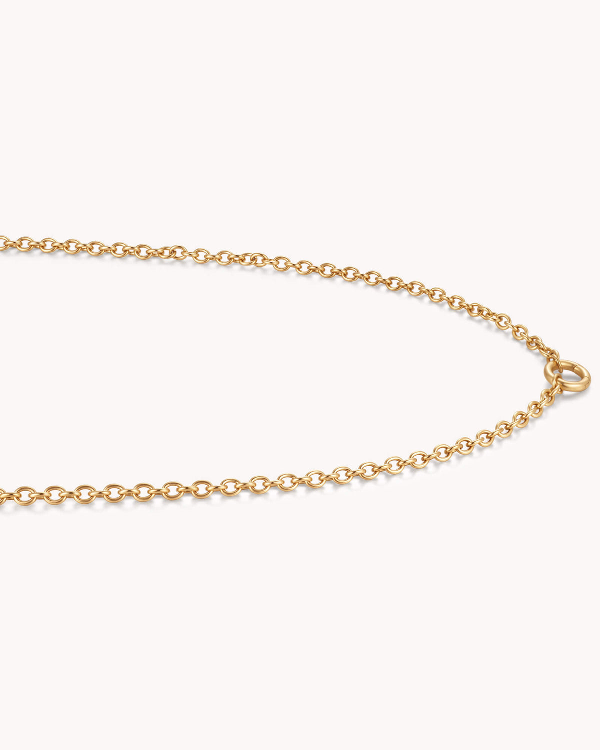 Close-up of Large Cable Chain Gold Necklace with Circle Annex Link
