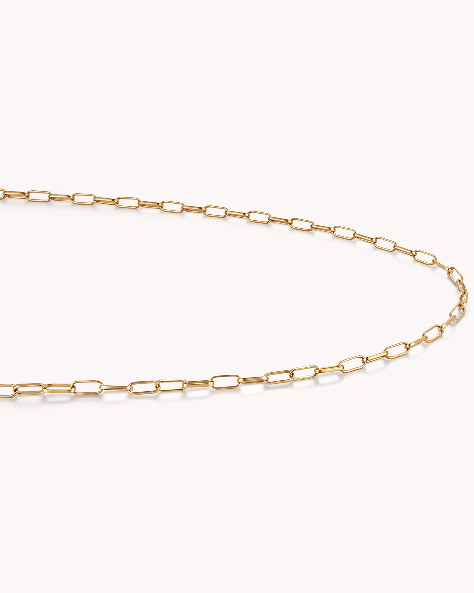 Close-up of Link Chain Gold Necklace with Circle Annex Link